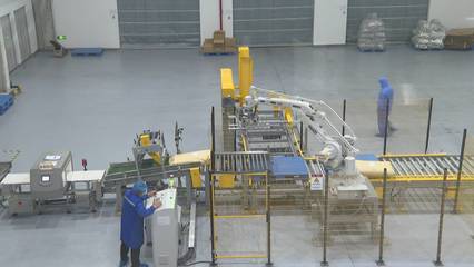 江蘇徐州:搶"新"機!徐州企業(yè)在更新?lián)Q新中撬動大市場